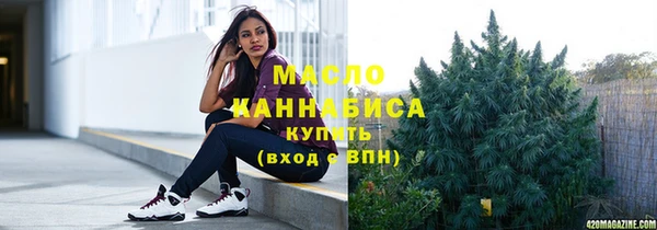 apvp Бородино