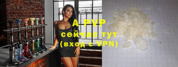 apvp Бородино