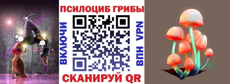 купить наркотик  Кизилюрт  даркнет официальный сайт  Псилоцибиновые грибы прущие грибы 